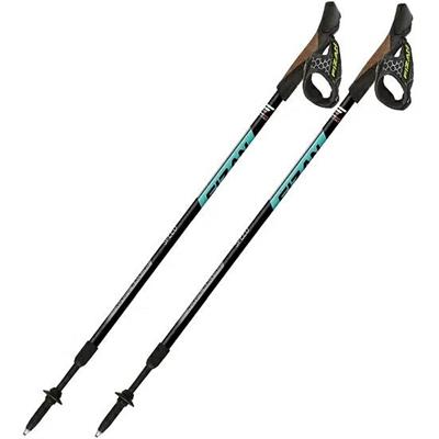 FIZAN Speed Bastoncini Nordic Walking Ocean