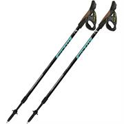 FIZAN Speed Bastoncini Nordic Walking Ocean