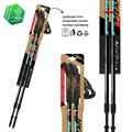 FIZAN Speed Bastoncini Nordic Walking Ocean