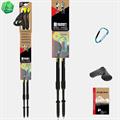 FIZAN Speed NW Bastoncini Nordic Walking Yellow