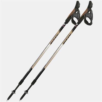 FIZAN Speed NW Bastoncini Nordic Walking Beige
