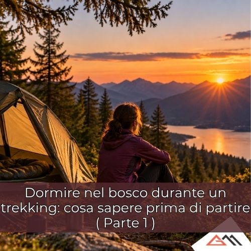 Dormire nel bosco durante un trekking: cosa sapere prima di partire
