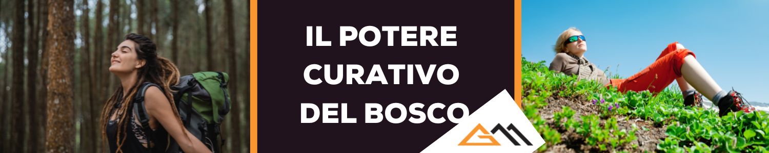 Il potere curativo del bosco