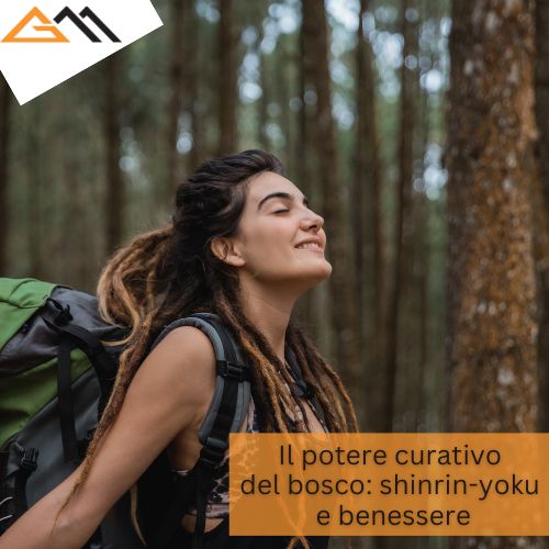 Il potere curativo del bosco